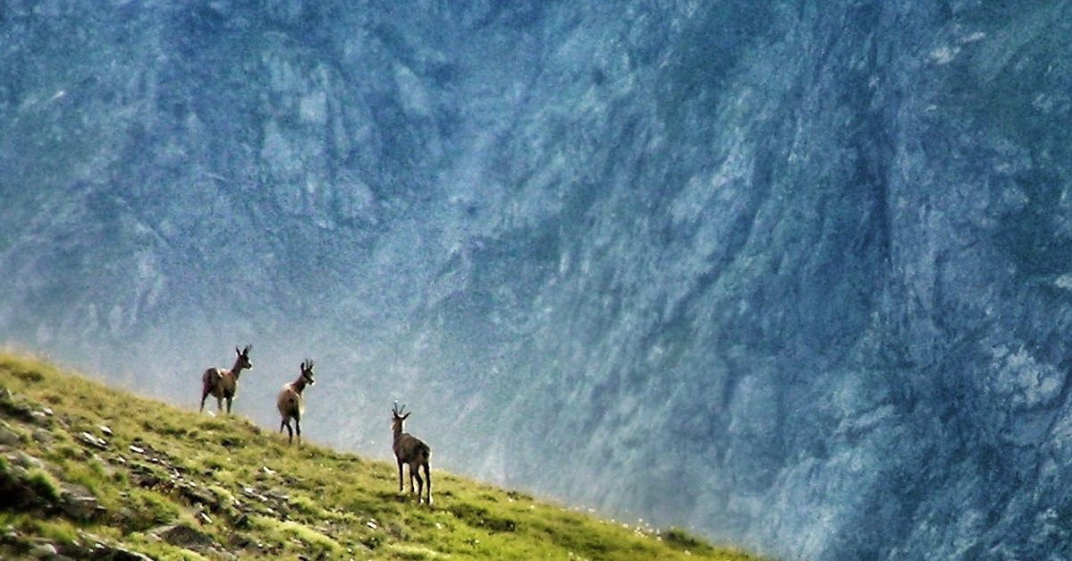 Vanoise, Alpes