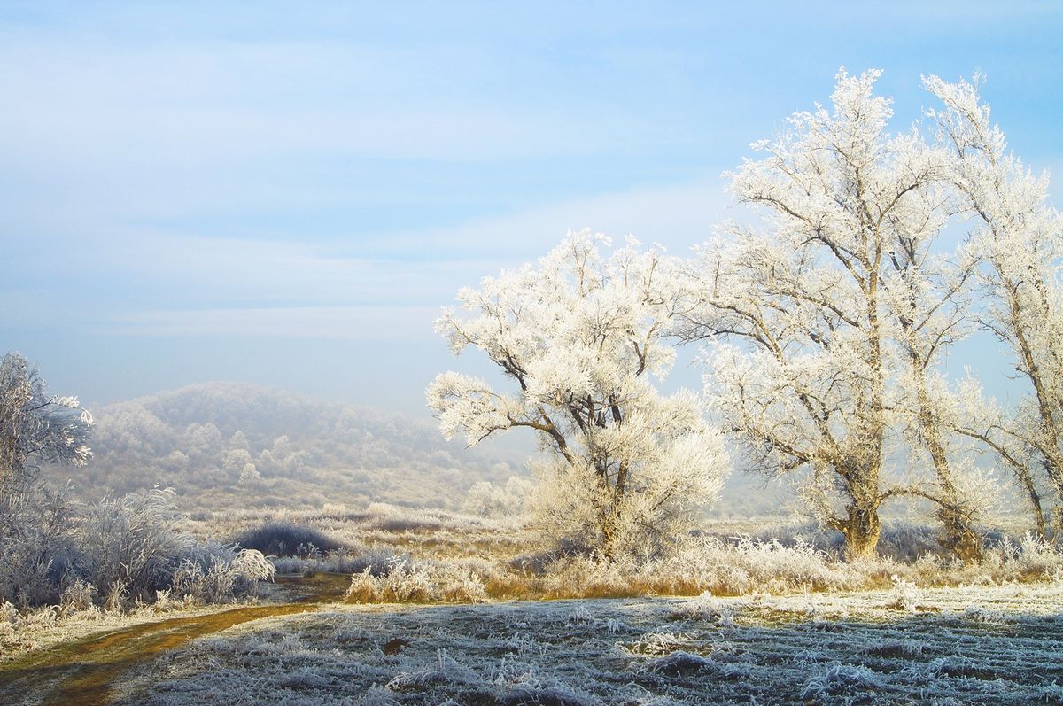 Winter in December