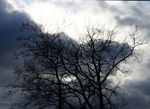Public (eclypse-----)