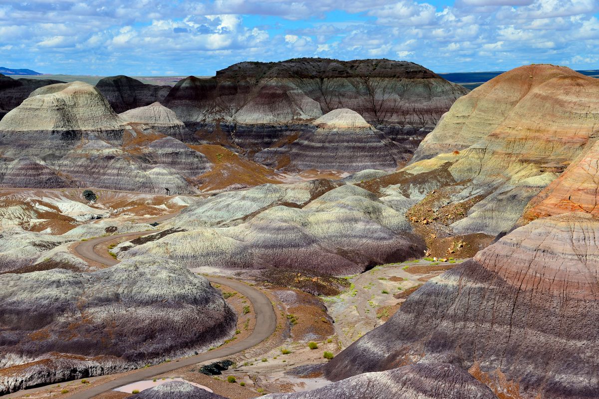 Painted Dessert