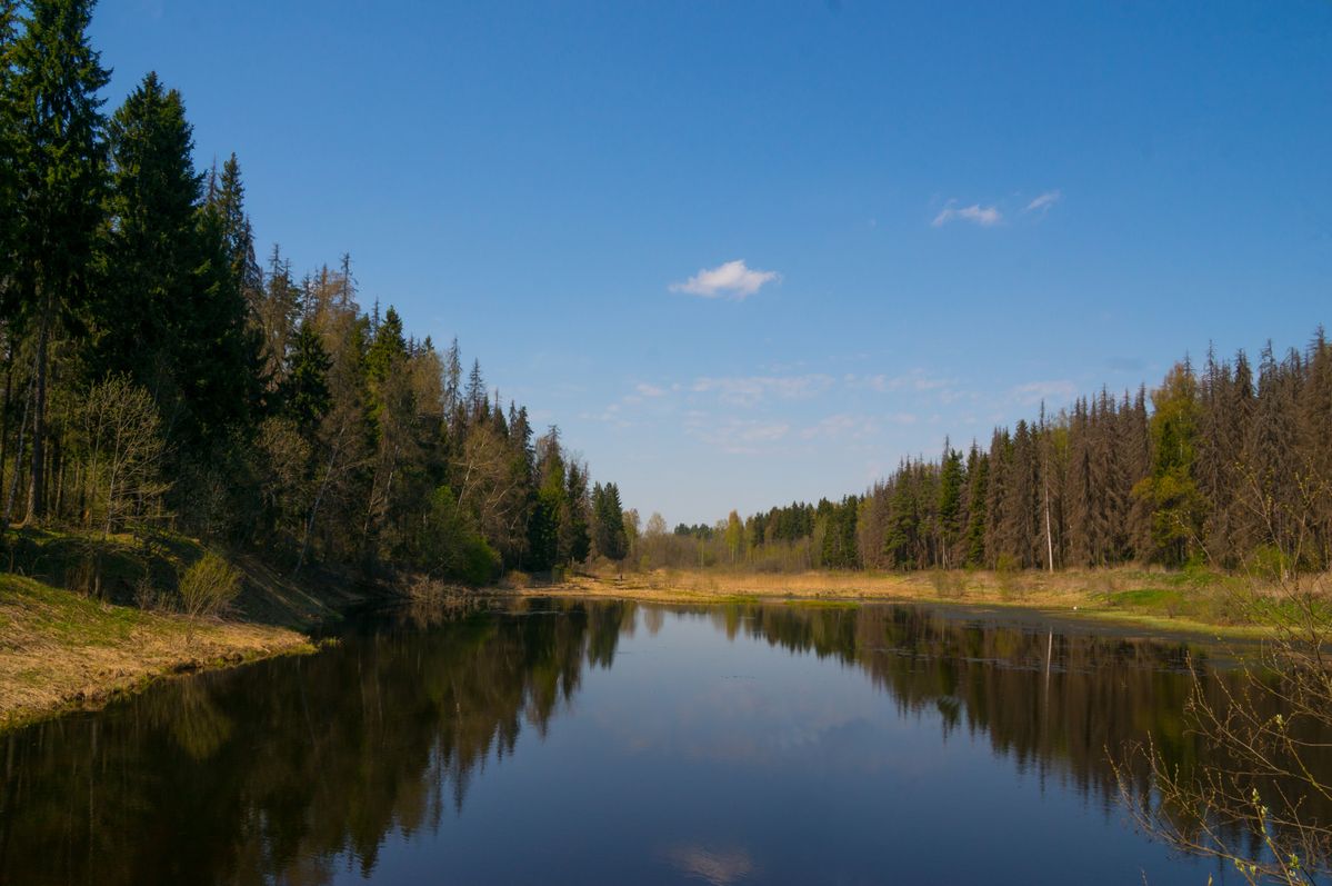 Пруд, деревня Поворовка, Pond,village Povorovka