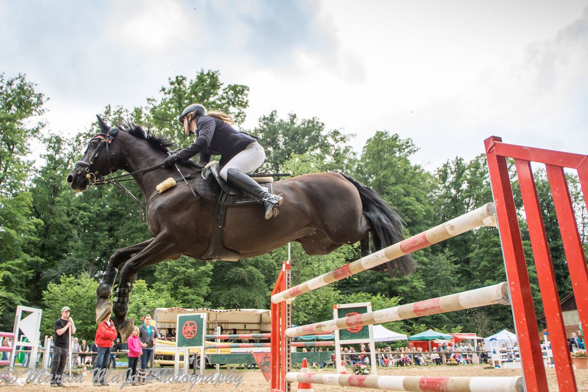 während des Esslinger Reitturniers. Habe versucht etwas andere Perspektive zu erwischen