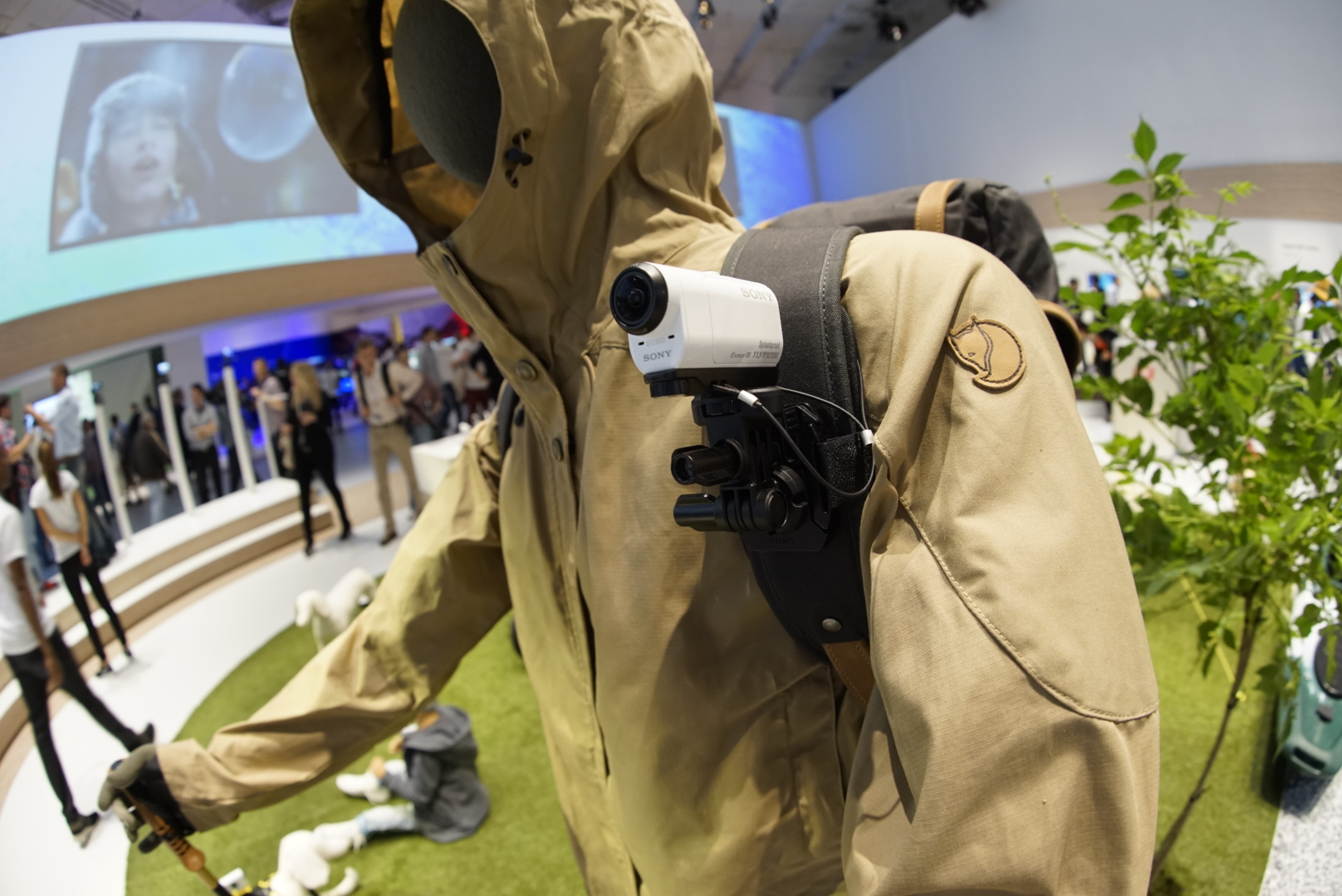 _DSC7127.JPG _DSC7127.JPG