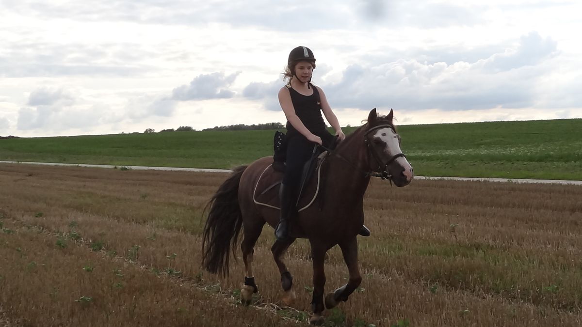 ma petite fille au galop dans un champ 