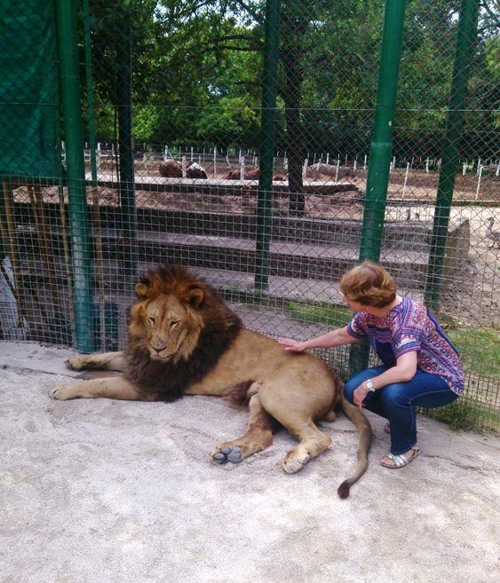 Me and a lion at Luján Zoo - Argentina