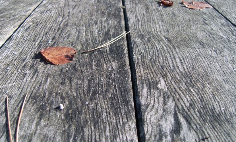 Herbstlatt auf altem Holz