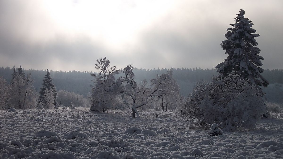 Première neige 