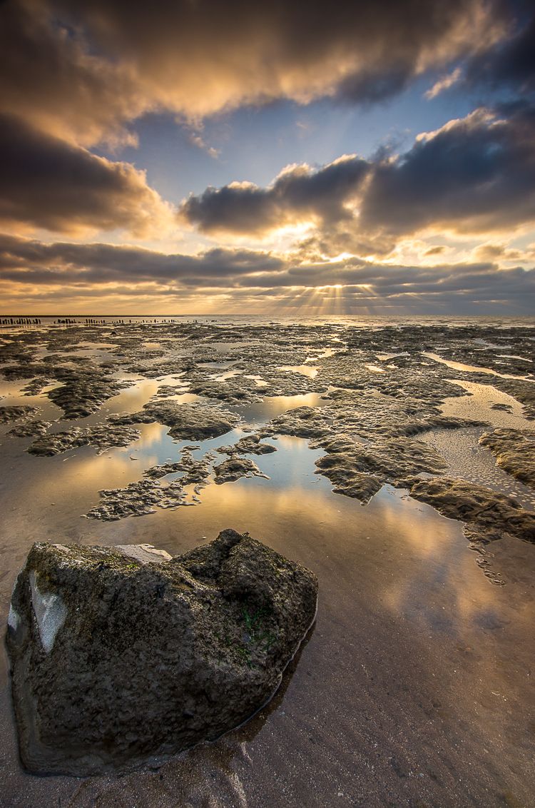 Waddenzee, The Netherlands