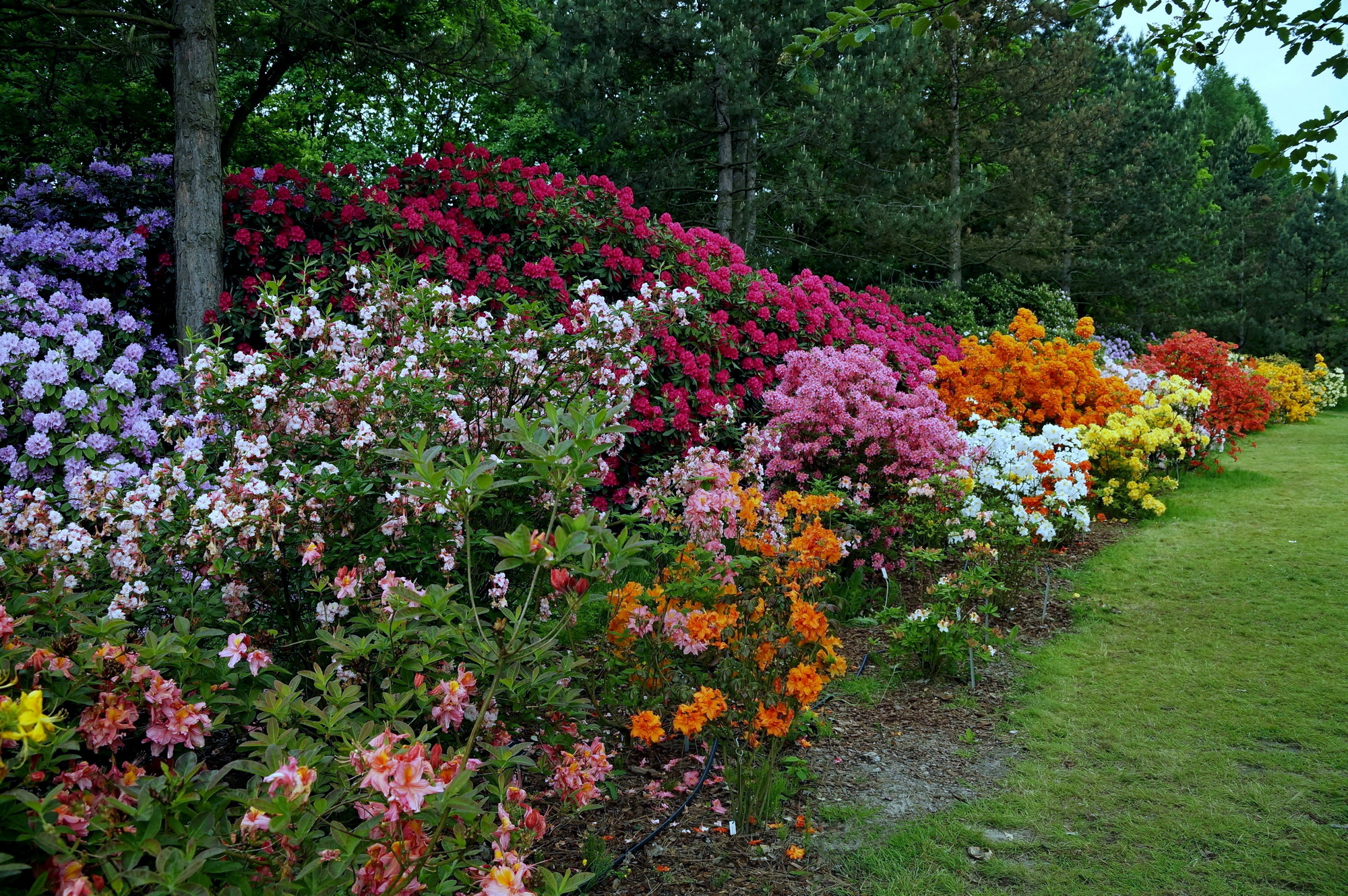 Ogród Botaniczny Powsin