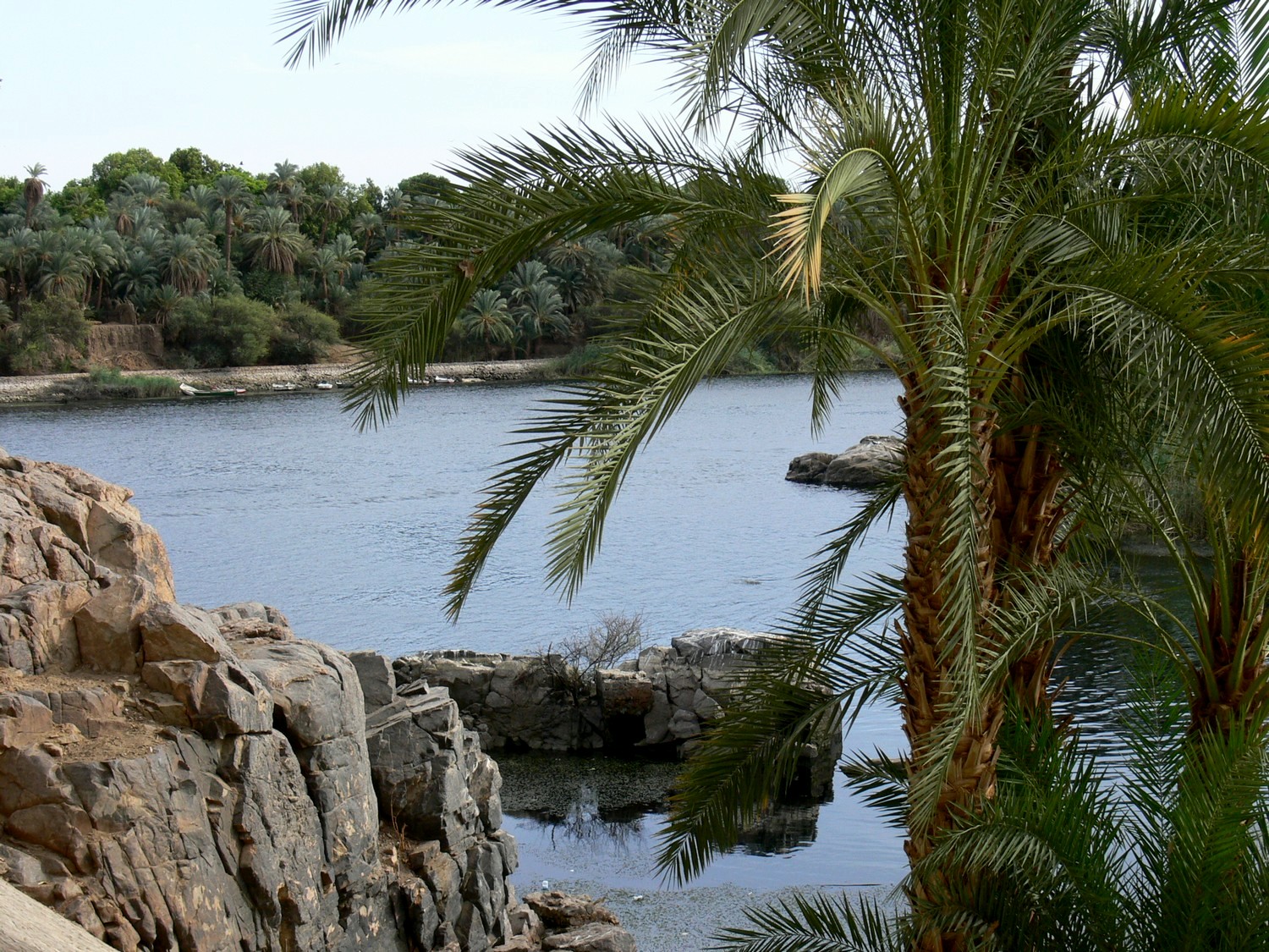 Aswan_Garden_28