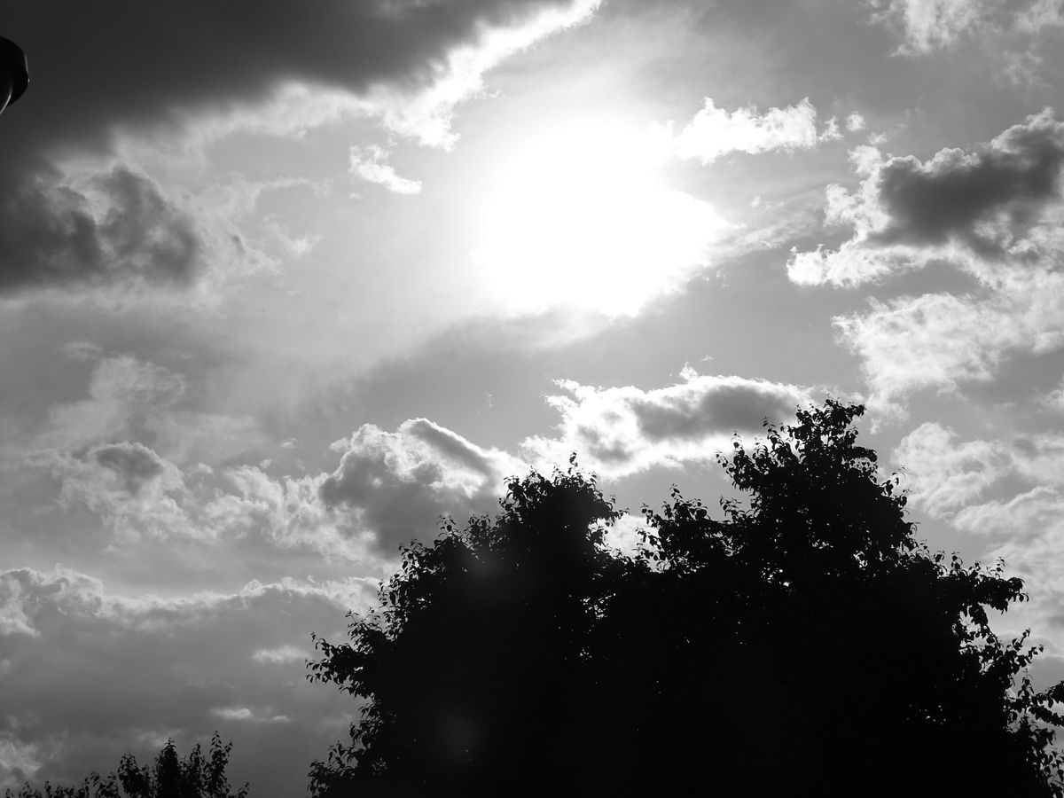 a contra luz blanco y negro.