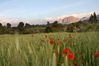 Spring in Spain