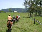 Horseriding during a hot summer's day in Queensland.