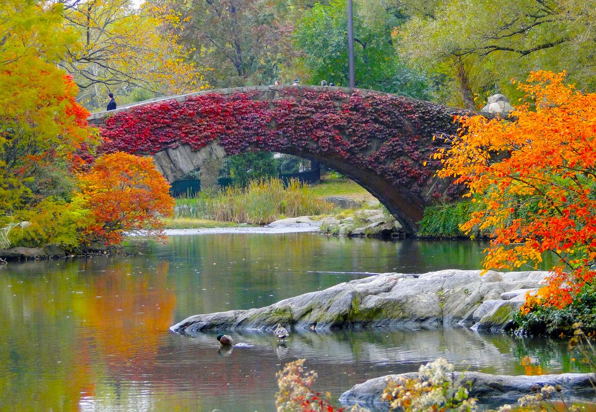 this image was taken 2 days before hurricane sandy in NYC. i was travelling with my wife who was pregnant at that time and we had a blast on this place. The photograph was taken with a semi pro by sony HX1. i simply love this image. the colors express all the feeling i was having at that precious moment. 